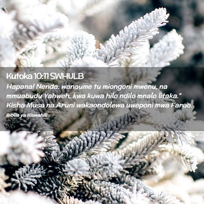 Picture 02 - Kutoka 10:11 SWHULB - Hapana! Nenda, wanaume tu miongoni mwenu, na - Bible Verse Picture
