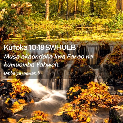 Picture 02 - Kutoka 10:18 SWHULB - Musa akaondoka kwa Farao na kumuomba - Bible Verse Picture