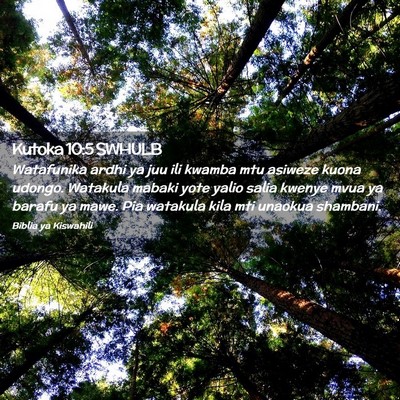 Picture 02 - Kutoka 10:5 SWHULB - Watafunika ardhi ya juu ili kwamba mtu asiweze - Bible Verse Picture