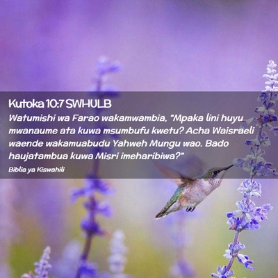 Picture 02 - Kutoka 10:7 SWHULB - Watumishi wa Farao wakamwambia, “Mpaka lini - Bible Verse Picture