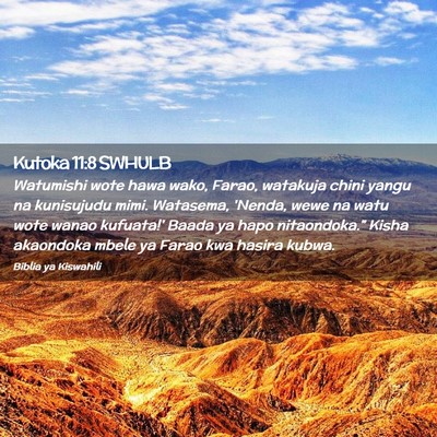 Picture 02 - Kutoka 11:8 SWHULB - Watumishi wote hawa wako, Farao, watakuja chini - Bible Verse Picture