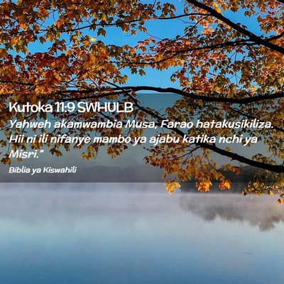 Picture 02 - Kutoka 11:9 SWHULB - Yahweh akamwambia Musa, Farao hatakusikiliza. Hii - Bible Verse Picture