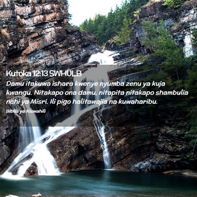 Picture 02 - Kutoka 12:13 SWHULB - Damu itakuwa ishara kwenye nyumba zenu ya kuja - Bible Verse Picture
