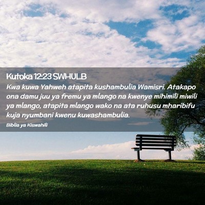 Picture 02 - Kutoka 12:23 SWHULB - Kwa kuwa Yahweh atapita kushambulia Wamisri. - Bible Verse Picture
