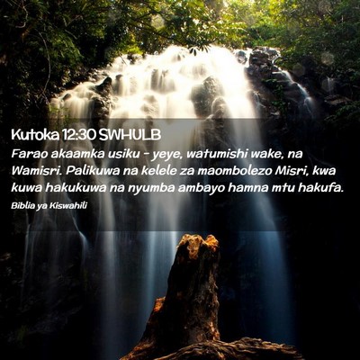 Picture 02 - Kutoka 12:30 SWHULB - Farao akaamka usiku - yeye, watumishi wake, na - Bible Verse Picture