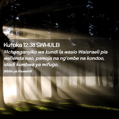 Picture 02 - Kutoka 12:38 SWHULB - Mchanganyiko wa kundi la wasio Waisraeli pia - Bible Verse Picture