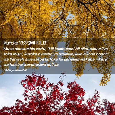Picture 02 - Kutoka 13:3 SWHULB - Musa akawambia watu, “Hii kumbukeni hii siku, - Bible Verse Picture