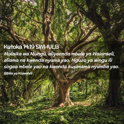 Picture 02 - Kutoka 14:19 SWHULB - Malaika wa Mungu, aliyeenda mbele ya Waisraeli, - Bible Verse Picture