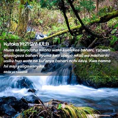 Picture 02 - Kutoka 14:21 SWHULB - Musa akanyoosha mkono wake kuelekea bahari. - Bible Verse Picture