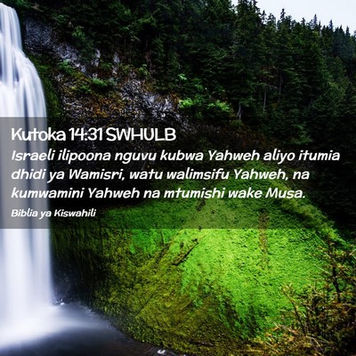Picture 02 - Kutoka 14:31 SWHULB - Israeli ilipoona nguvu kubwa Yahweh aliyo itumia - Bible Verse Picture