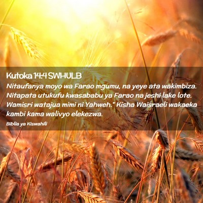 Picture 02 - Kutoka 14:4 SWHULB - Nitaufanya moyo wa Farao mgumu, na yeye ata - Bible Verse Picture