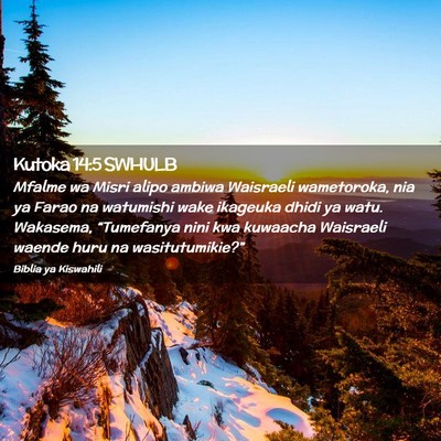 Picture 02 - Kutoka 14:5 SWHULB - Mfalme wa Misri alipo ambiwa Waisraeli - Bible Verse Picture