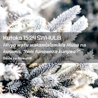 Picture 02 - Kutoka 15:24 SWHULB - Hivyo watu wakamlalamikia Musa na kusema, “Nini - Bible Verse Picture