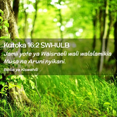 Picture 02 - Kutoka 16:2 SWHULB - Jamii yote ya Waisraeli wali walalamikia Musa na - Bible Verse Picture