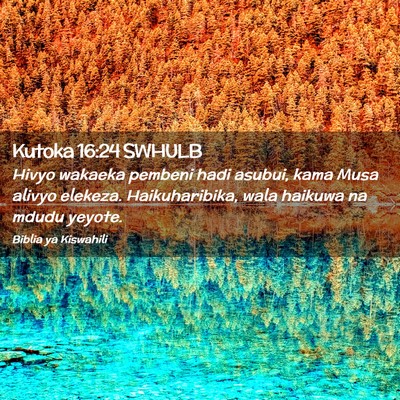 Picture 02 - Kutoka 16:24 SWHULB - Hivyo wakaeka pembeni hadi asubui, kama Musa - Bible Verse Picture