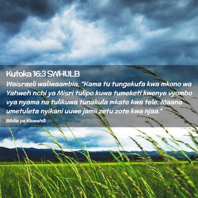 Picture 02 - Kutoka 16:3 SWHULB - Waisraeli waliwaambia, “Kama tu tungekufa kwa - Bible Verse Picture