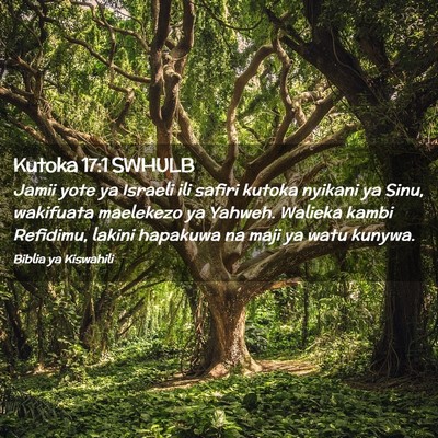 Picture 02 - Kutoka 17:1 SWHULB - Jamii yote ya Israeli ili safiri kutoka nyikani - Bible Verse Picture