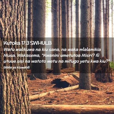 Picture 02 - Kutoka 17:3 SWHULB - Watu walikuwa na kiu sana, na waka mlalamikia - Bible Verse Picture