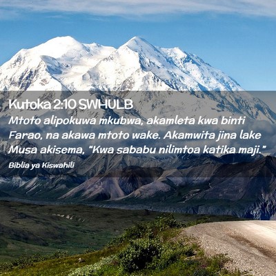 Picture 02 - Kutoka 2:10 SWHULB - Mtoto alipokuwa mkubwa, akamleta kwa binti Farao, - Bible Verse Picture