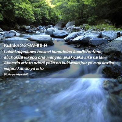 Picture 02 - Kutoka 2:3 SWHULB - Lakini alipokuwa hawezi kuendelea kumficha tena, - Bible Verse Picture