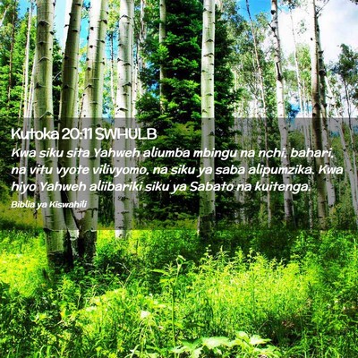 Picture 02 - Kutoka 20:11 SWHULB - Kwa siku sita Yahweh aliumba mbingu na nchi, - Bible Verse Picture
