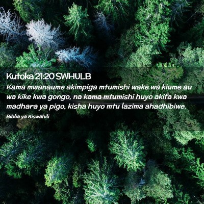 Picture 02 - Kutoka 21:20 SWHULB - Kama mwanaume akimpiga mtumishi wake wa kiume au - Bible Verse Picture
