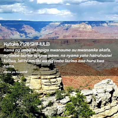 Picture 02 - Kutoka 21:28 SWHULB - Kama ng'ombe akimpiga mwanaume au mwanamke akafa, - Bible Verse Picture