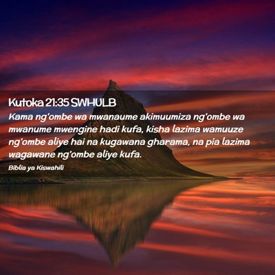 Picture 02 - Kutoka 21:35 SWHULB - Kama ng'ombe wa mwanaume akimuumiza ng'ombe wa - Bible Verse Picture