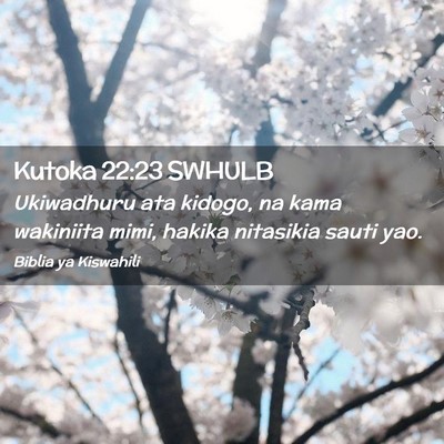 Picture 02 - Kutoka 22:23 SWHULB - Ukiwadhuru ata kidogo, na kama wakiniita mimi, - Bible Verse Picture