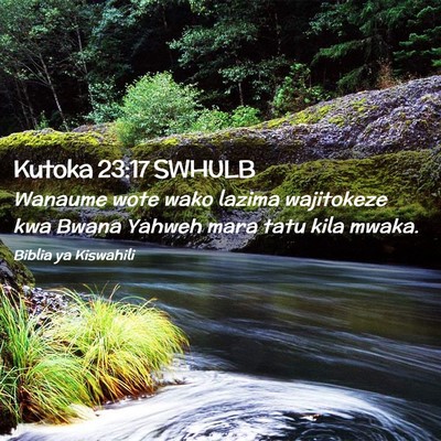 Picture 02 - Kutoka 23:17 SWHULB - Wanaume wote wako lazima wajitokeze kwa Bwana - Bible Verse Picture