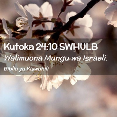 Picture 02 - Kutoka 24:10 SWHULB - Walimuona Mungu wa - Bible Verse Picture