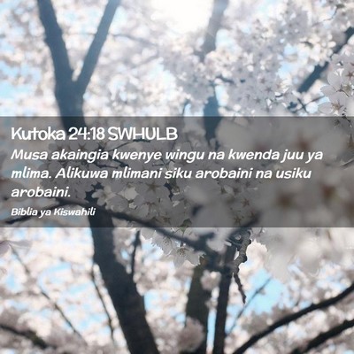 Picture 02 - Kutoka 24:18 SWHULB - Musa akaingia kwenye wingu na kwenda juu ya - Bible Verse Picture