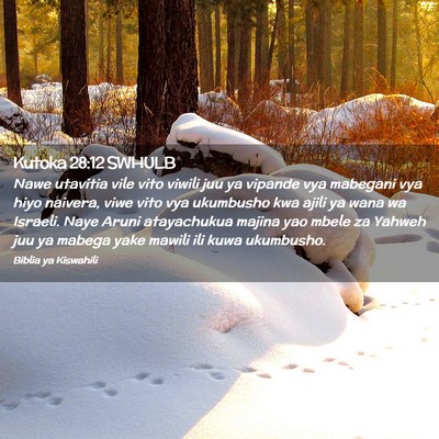 Picture 02 - Kutoka 28:12 SWHULB - Nawe utavitia vile vito viwili juu ya vipande vya - Bible Verse Picture