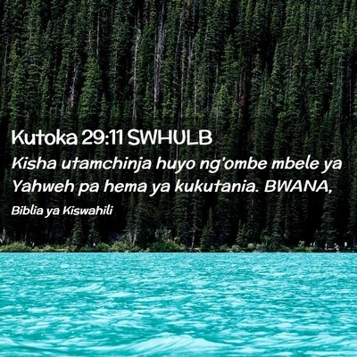 Picture 02 - Kutoka 29:11 SWHULB - Kisha utamchinja huyo ng’ombe mbele ya Yahweh - Bible Verse Picture