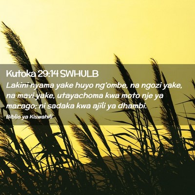 Picture 02 - Kutoka 29:14 SWHULB - Lakini nyama yake huyo ng’ombe, na ngozi yake, - Bible Verse Picture
