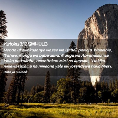 Picture 02 - Kutoka 3:16 SWHULB - Nenda ukawakusanye wazee wa Israeli pamoja. - Bible Verse Picture