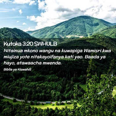 Picture 02 - Kutoka 3:20 SWHULB - Nitainua mkono wangu na kuwapiga Wamisri kwa - Bible Verse Picture