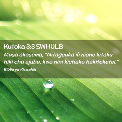 Picture 02 - Kutoka 3:3 SWHULB - Musa akasema, “Nitageuka ili nione kitaku hiki - Bible Verse Picture