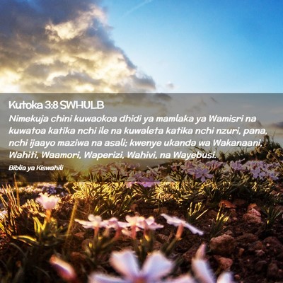 Picture 02 - Kutoka 3:8 SWHULB - Nimekuja chini kuwaokoa dhidi ya mamlaka ya - Bible Verse Picture