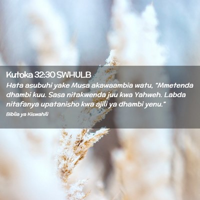 Picture 02 - Kutoka 32:30 SWHULB - Hata asubuhi yake Musa akawaambia watu, - Bible Verse Picture