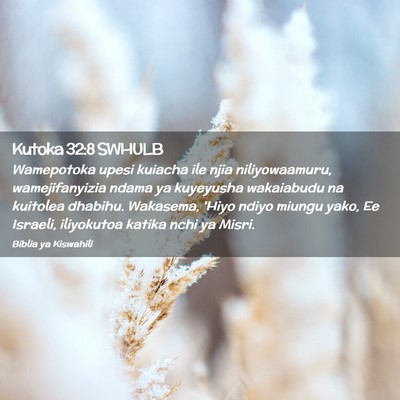 Picture 02 - Kutoka 32:8 SWHULB - Wamepotoka upesi kuiacha ile njia niliyowaamuru, - Bible Verse Picture