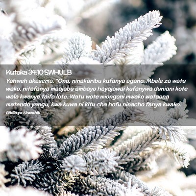 Picture 02 - Kutoka 34:10 SWHULB - Yahweh akasema, “Ona, ninakaribu kufanya agano. - Bible Verse Picture