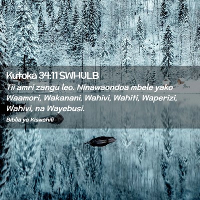 Picture 02 - Kutoka 34:11 SWHULB - Tii amri zangu leo. Ninawaondoa mbele yako - Bible Verse Picture