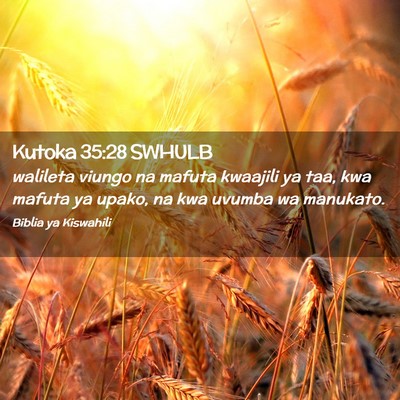 Picture 02 - Kutoka 35:28 SWHULB - walileta viungo na mafuta kwaajili ya taa, kwa - Bible Verse Picture