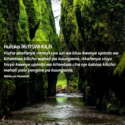 Picture 02 - Kutoka 36:11 SWHULB - Kisha akafanya vitanzi vya uzi wa bluu kwenye - Bible Verse Picture