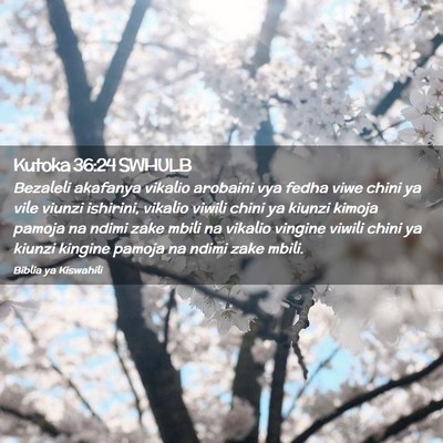 Picture 02 - Kutoka 36:24 SWHULB - Bezaleli akafanya vikalio arobaini vya fedha viwe - Bible Verse Picture