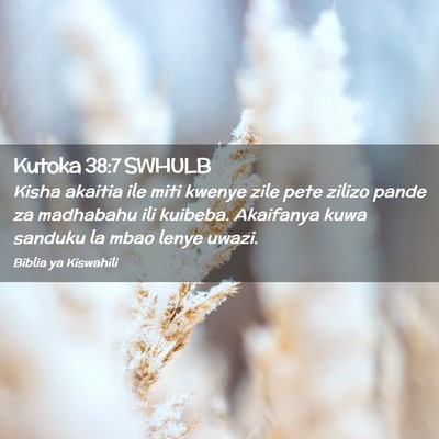 Picture 02 - Kutoka 38:7 SWHULB - Kisha akaitia ile miti kwenye zile pete zilizo - Bible Verse Picture