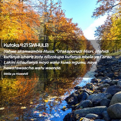 Picture 02 - Kutoka 4:21 SWHULB - Yahwe akamwambia Musa, “Utakaporudi Misri, - Bible Verse Picture