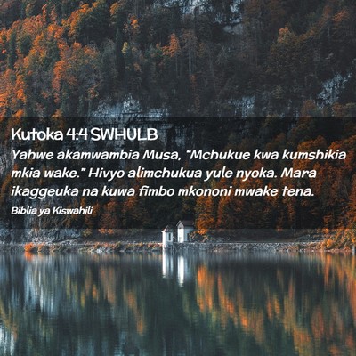 Picture 02 - Kutoka 4:4 SWHULB - Yahwe akamwambia Musa, “Mchukue kwa kumshikia - Bible Verse Picture
