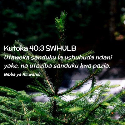 Picture 02 - Kutoka 40:3 SWHULB - Utaweka sanduku la ushuhuda ndani yake, na - Bible Verse Picture